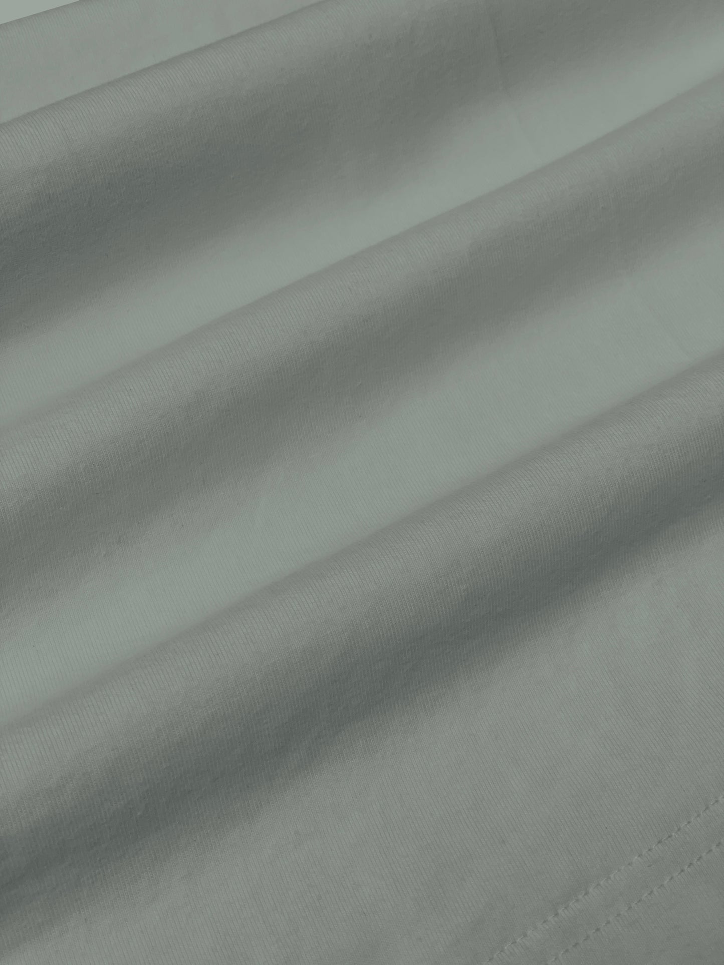 Basic Logo Tee S/S (Dove)