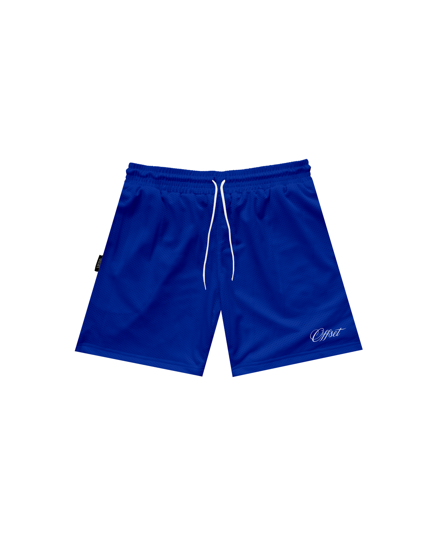 Script Logo Embroidered Mesh Shorts (Royal Blue)