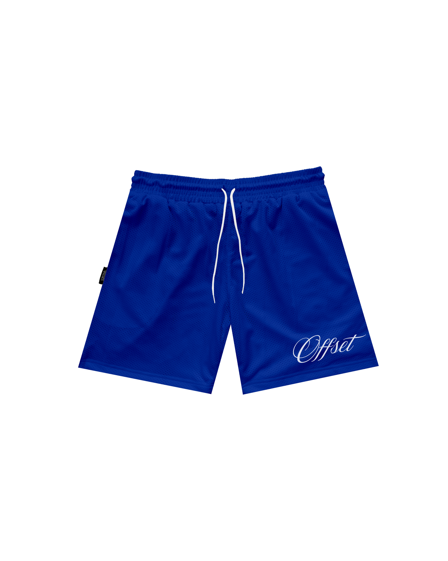 Script Logo Print Mesh Shorts (Royal Blue)