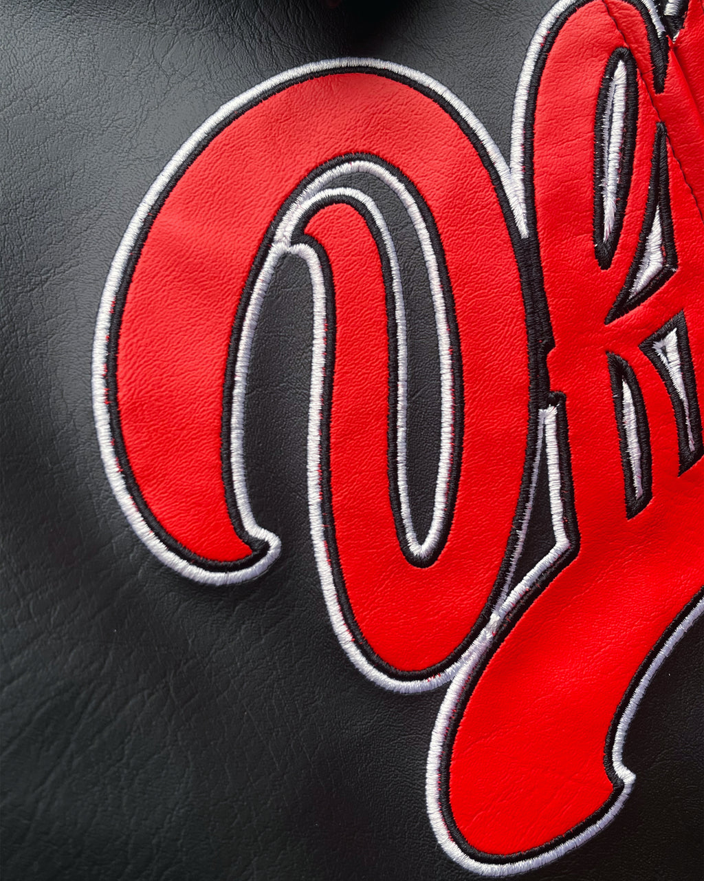 Premium Varsity Jacket (Leather)