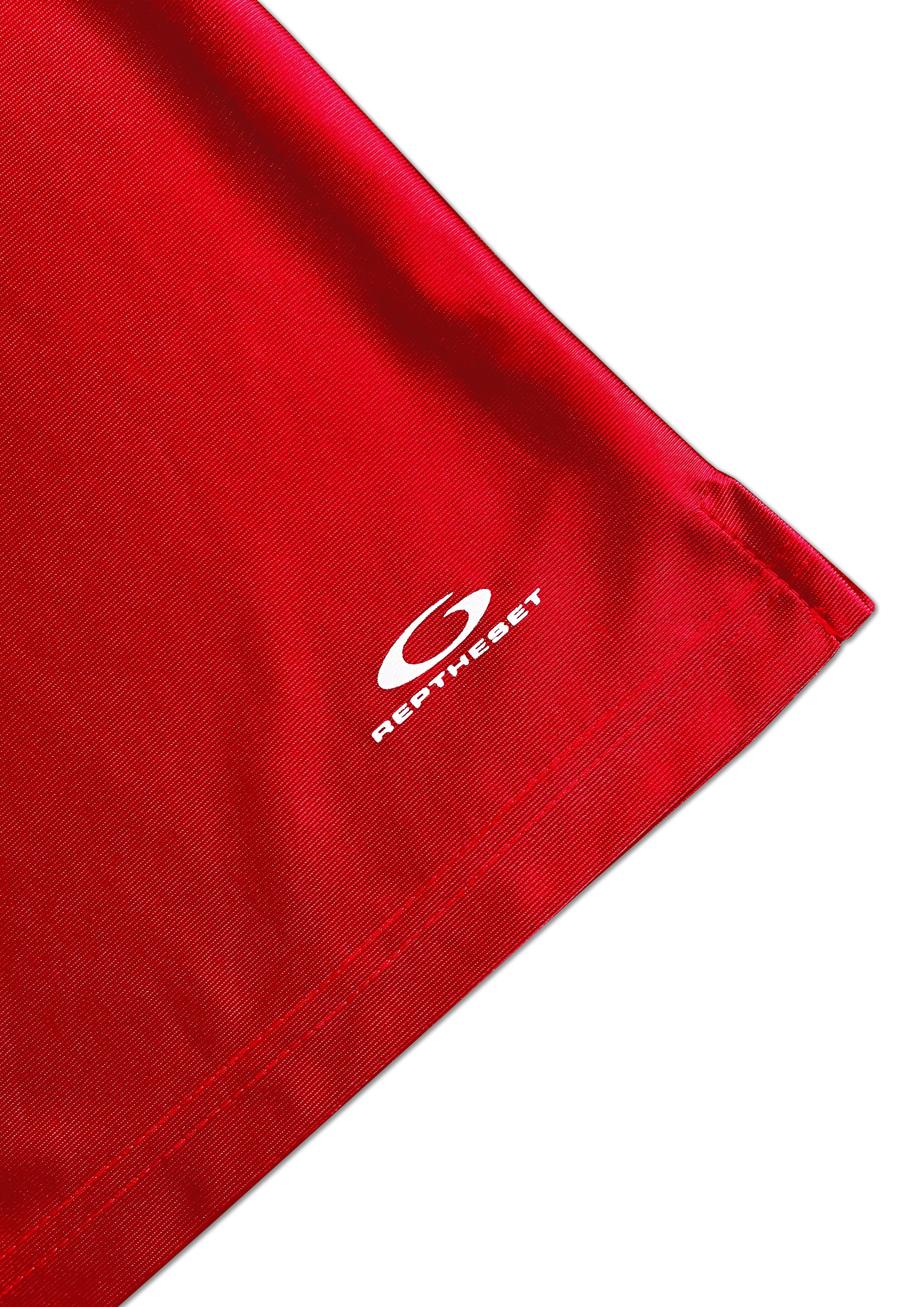 Retro Logo Baggy Shorts (Red)