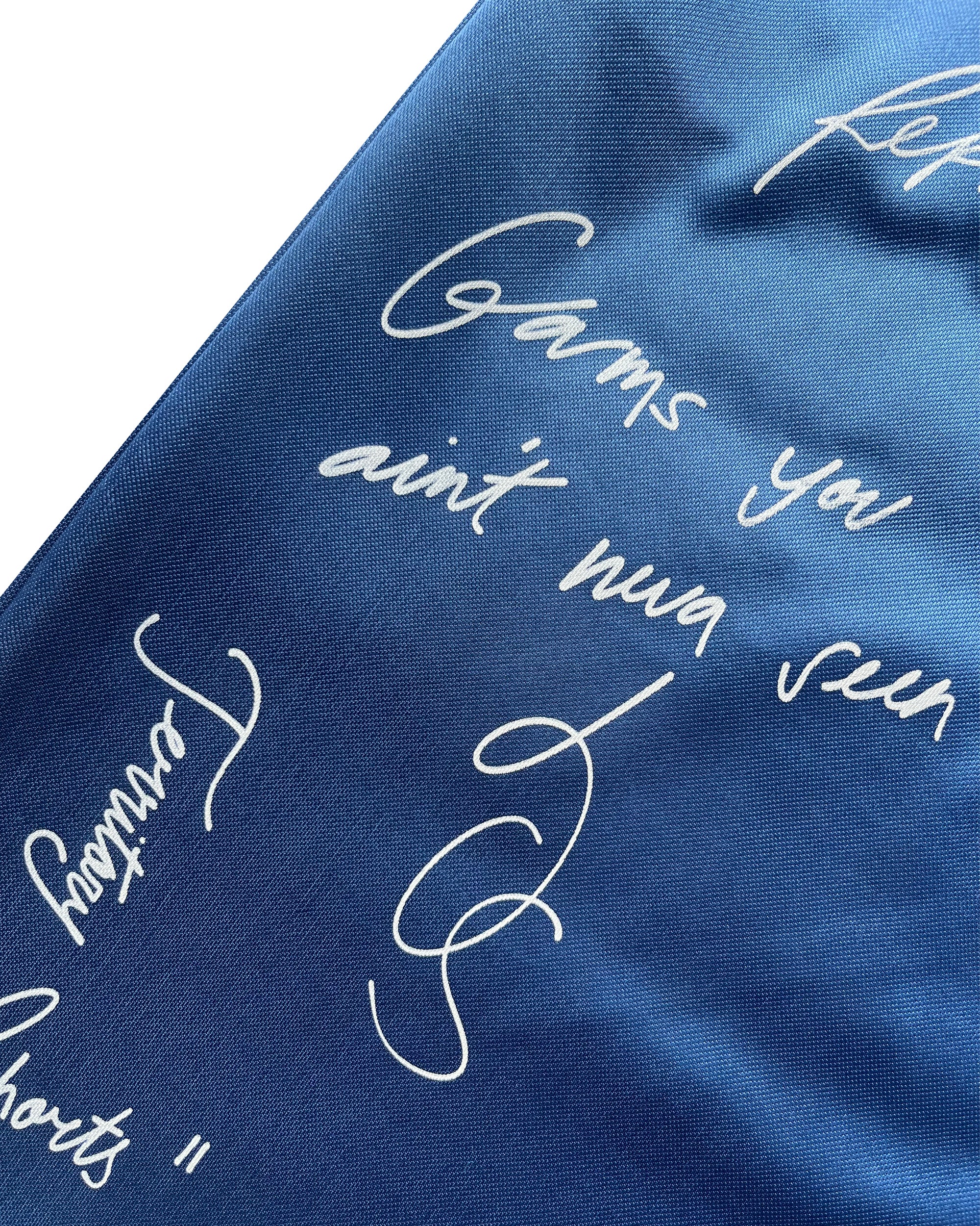 Retro Signature Baggy Shorts (Sapphire)