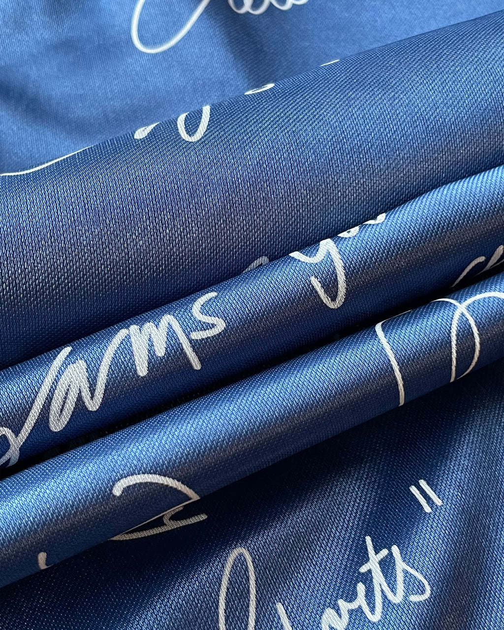 Retro Signature Baggy Shorts (Sapphire)