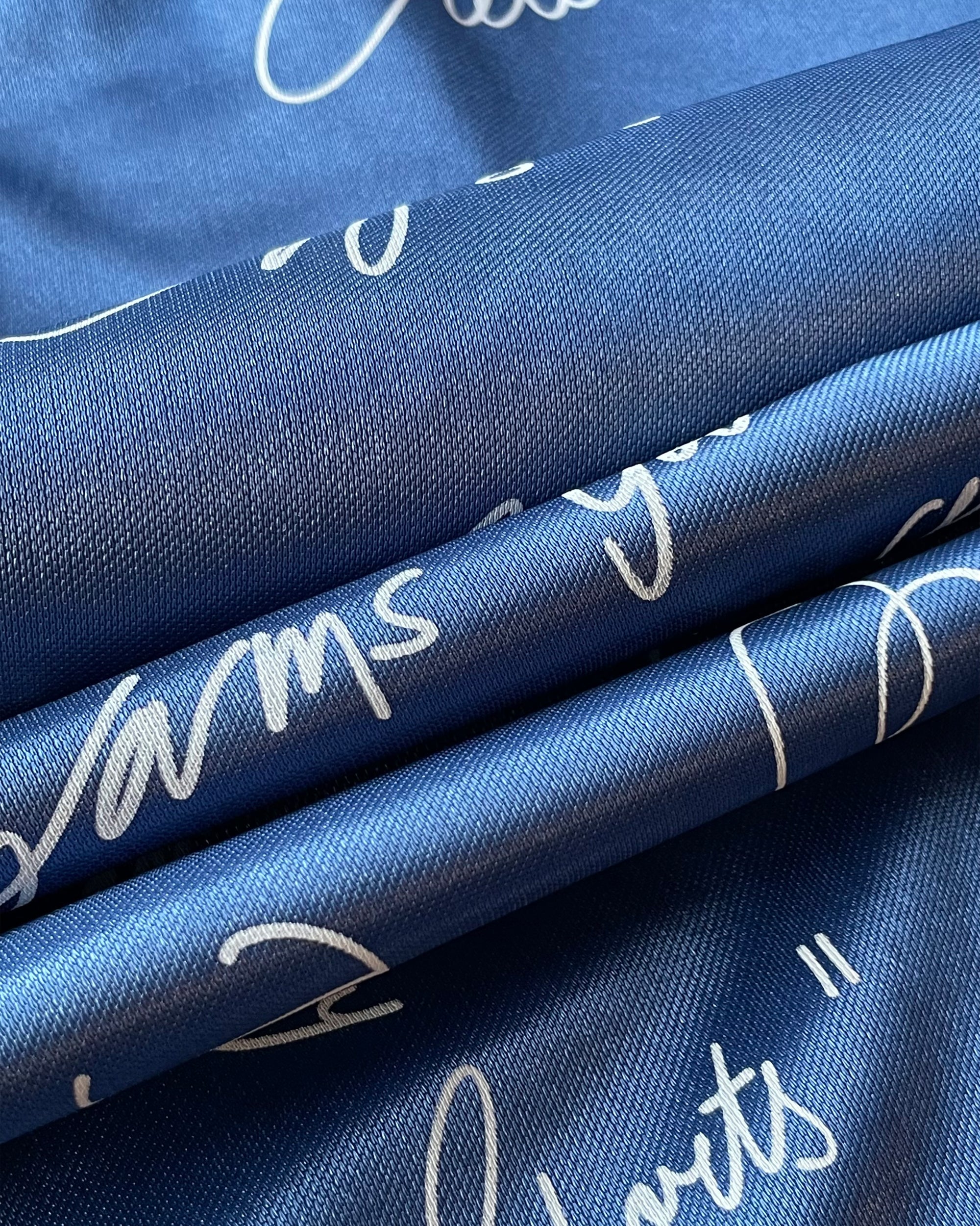 Retro Signature Baggy Shorts (Sapphire)